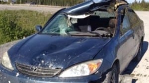 The photo is from the June 28, 2015 CBC article cited at the post on this page. The caption reads: "Despite the damage to this car after hitting a moose on Newfoundland's Northern Peninsula, Stephen Bromley says he remembers nothing about the accident. (Submitted photo)."