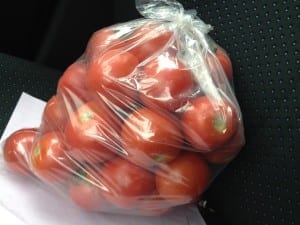 These are some of the great organic tomatoes, from an organic farm in Brampton, that I bought on Sept. 17, 2016. The photo shows them resting on the front seat of my car ready for the drive home.